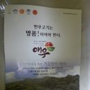 웰빙정육도매센타 - 13039 | 웰빙정육도매센타