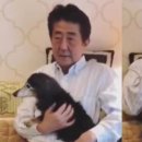 개와집 이미지
