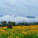 구례군청소년수련원 이미지