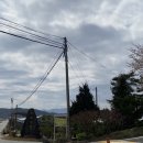 웅희농장 이미지