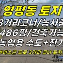 토지2-263[ 3거리 코너+농업용 수도,전기! 제주시 영평동 토지 매매(486평/건축가능/상수도 접함/과일나무 심어져 있음) ]#영평 이미지