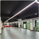 매드복싱 이미지