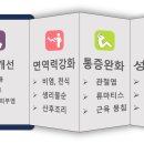 더쉼효소 이미지
