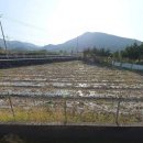 사등농장 이미지