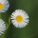 인천대공원 내 이미지