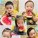 여름 제철과일🍉 “수박” 🍉을 탐색해요 이미지