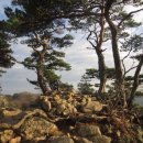 청량산유림길 이미지