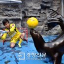 아쿠아플라넷 여수 이미지