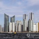 명지인셀덤