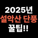 자율방범대 풍전지대 | 설악산 단풍, 올해 늦다더니… 지금 가면 진짜 물든다🍁