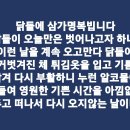 삼가-24 이미지