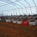 션샤인 하우스 이미지