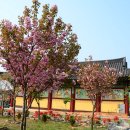 여명사