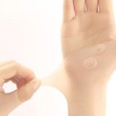 정남이네 다락방 이미지