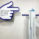 하단동1153 이미지