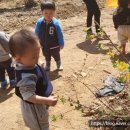 화전농장 이미지