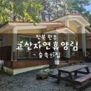 옥구공원 숲속교실 | 계곡 물놀이 끝판왕, 전북 완주 고산자연휴양림 숲속의집 찐후기