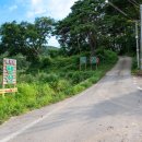 장성시내길 이미지