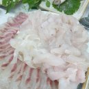 오서방횟집