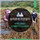 선거웰빙 영농조합법인 이미지