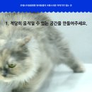 포레스트동물병원 이미지