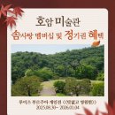 호암 | 2025년 10월 호암미술관 평일 가을 나들이 할인 꿀팁 | 호암카페 후기