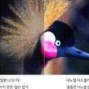 엘지슈퍼 네이버블로그