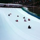 사계절호스텔 이미지