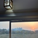 코레일 관광열차 서해 금빛 열차 온돌마루칸 예약 꿀팁, 가격, 사진, 탑승 후기