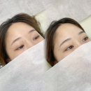 브로우데이즈