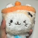 버블냥 이미지
