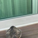 호미인문경 이미지