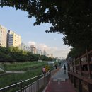 증산-001 이미지