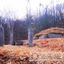 황림 묘 이미지