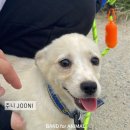 두니주니