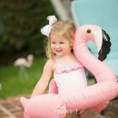 플라밍고 이미지