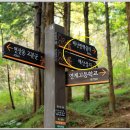 배산성지 이미지