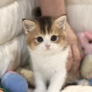 집사의 하루 대구점 이미지