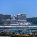 처갓집양념치킨(화진점) | [거제여행] 거제 가볼만한 곳_(한화리조트 벨버디어, 농소 몽돌해수욕장, 매미성 등)