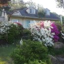 강림면350 이미지