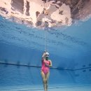 다이빙] 혼자서도 대만족! 내가 꼼꼼하게 비교하고 선택한 "프리다이빙프렌즈" 1레벨 리얼 취득 후기 🤿✨