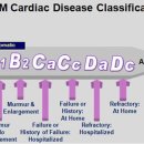 도촌 동물병원 이미지