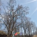 코스트팜아울렛 이미지