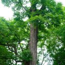 전북계란영농조합 이미지