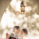 스튜디오배 이미지