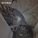 경동기계 이미지