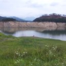 민들레장 이미지