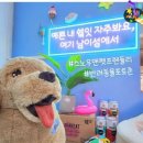 수니아트 이미지
