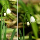 오늘의 영상뉴스(4.14) 이미지