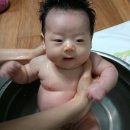 차도리